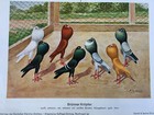 Bild 31 von 35