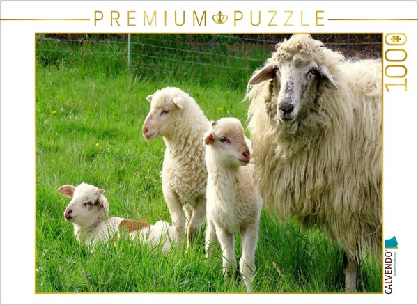 Calvendo Puzzle Sheep With Lambs | 1000 Pieces, Finished Size 25.2 × 18.9 In (64-image
