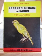 Le Canari du Harz ou Saxon