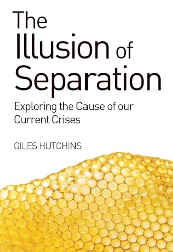 The Illusion of Separation: Exploring the Cause of our Current Crises Hutchins - Image 8