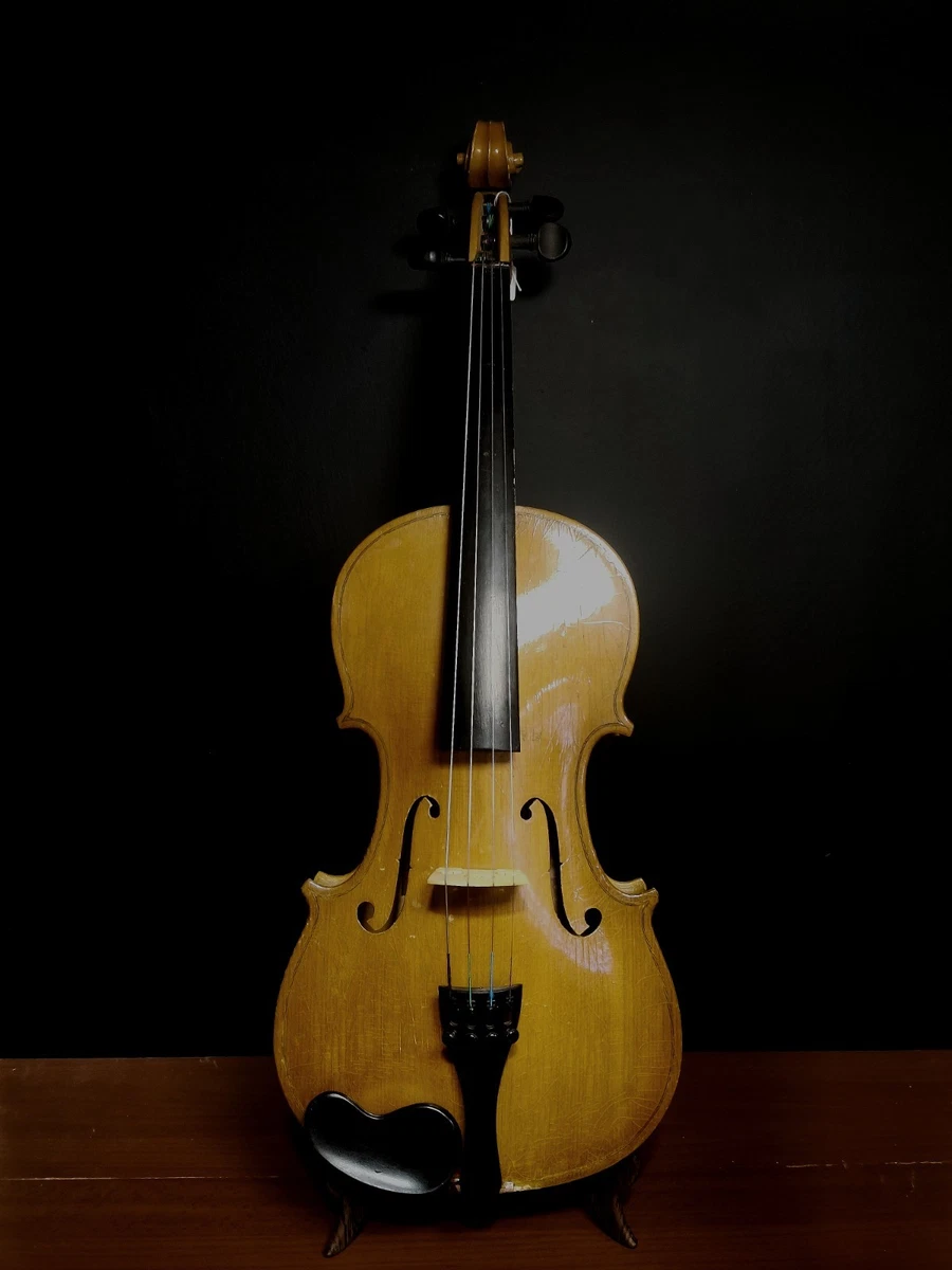 Amati Acoustic Violins 4/4 Size for sale | eBay