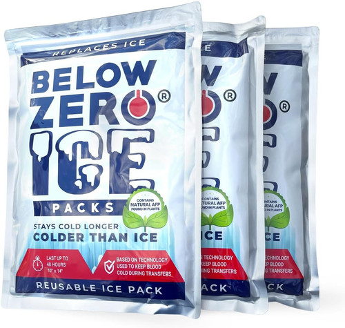 BELOW ZERO Jumbo Reusable Ice Packs for Large Coolers and Lunch Bags –...