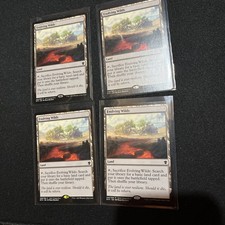 Evolving Wilds 248/264 Tarkir Dragonfury Promo DTK MTG NM 4x Magic mtg