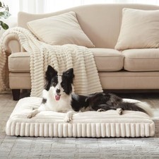 Dog Beds Large Sized Dog, Flat Pet Beds with Removable L 35"x23"x4" Cream