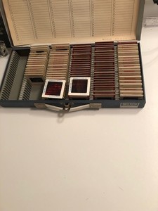 Lot of  Vintage Slides  Case