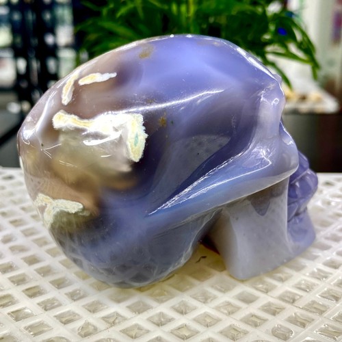 467G Natural Crystal Rare Banded Blue Flower Agate Skull Carving - Picture 6 of 11
