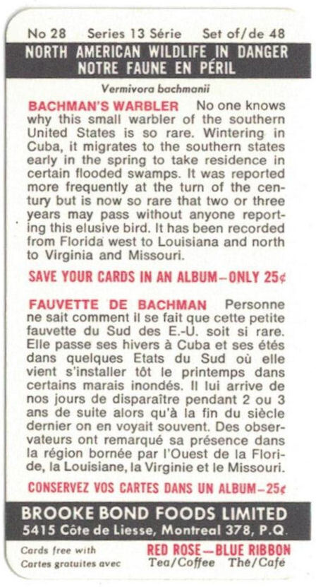 Bild 53 von 91