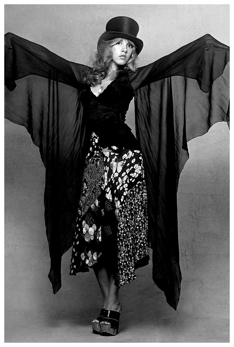 Stevie Nicks Poster 24x36 Inch Photo Rare Print Wall Art Print SN04