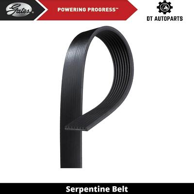 For 2013-2015 Blue Bird Vision School Bus Serpentine Belt Alternator Gates 2014