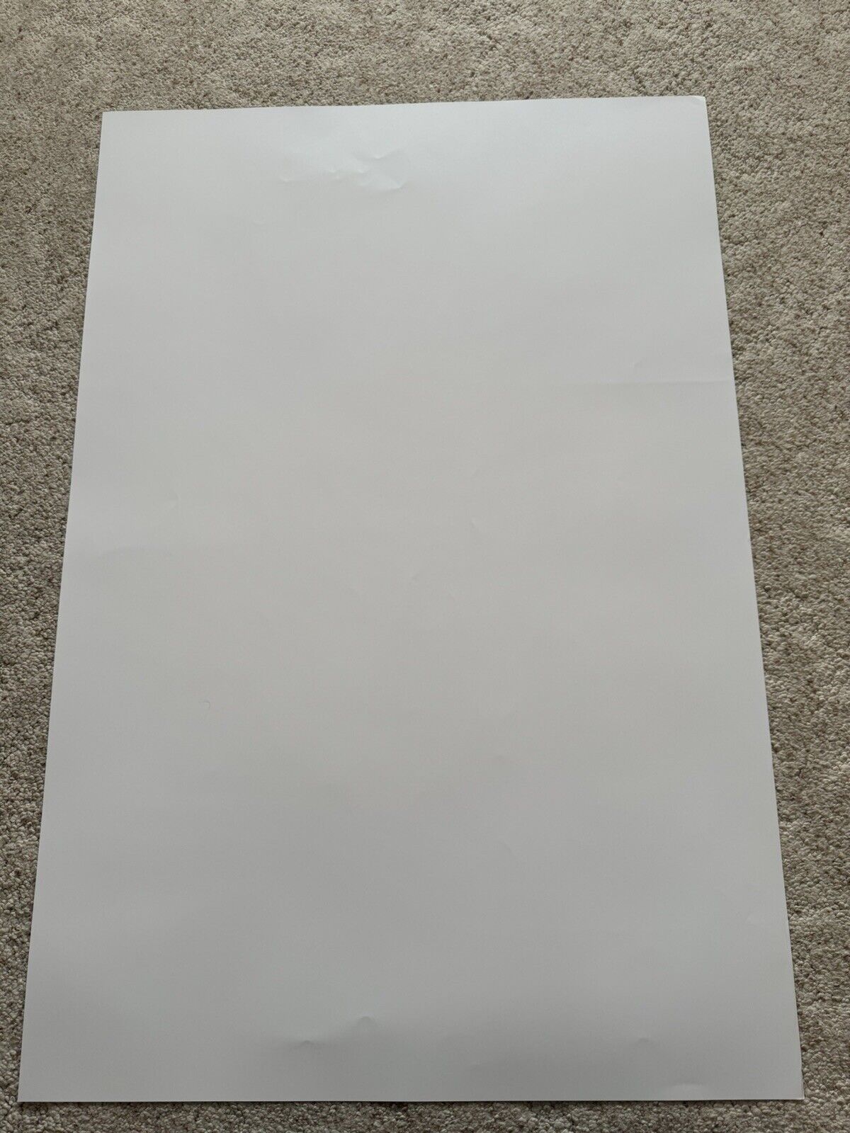 Bild 4 von 4