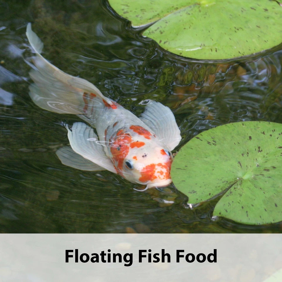 Koi's Choice Koi Floating Fish Food Backyard Pond Aquarium 10 LB Bag All Seasons - Image 4 of 4