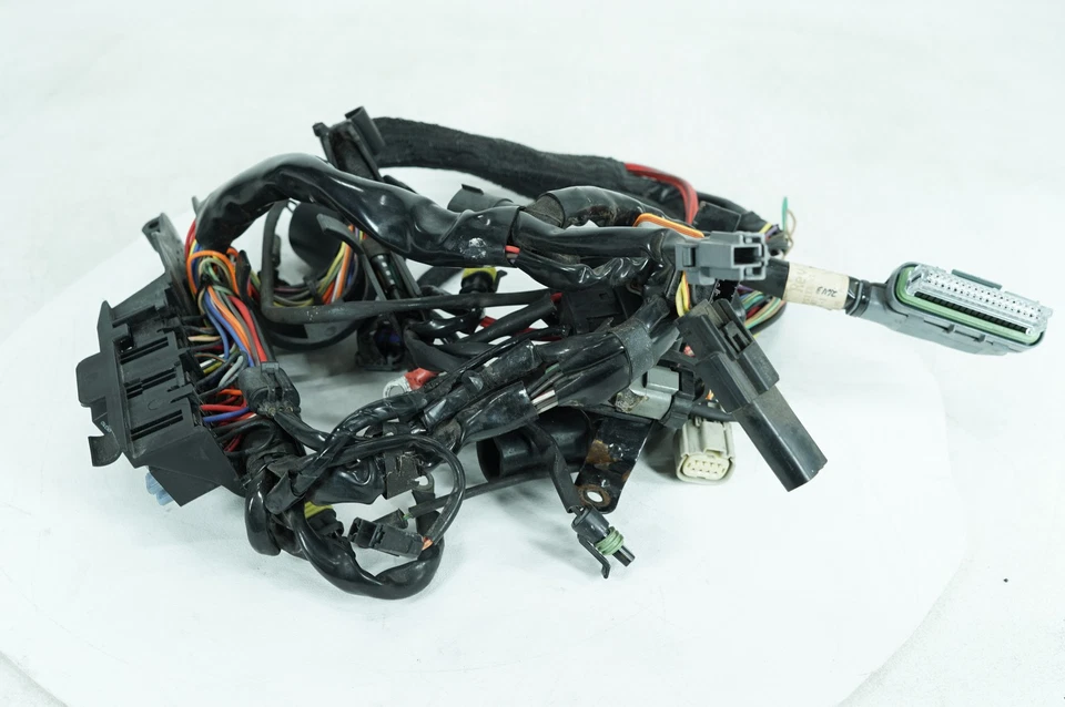 Harley Sportster XL883 C 2008 personalizada OEM cableado principal arnés telar Foto 2 de 4