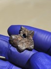 Agoudal Iron Meteorite 3.274g Individual Natural Hole Rare IIAB Iron COA — photo 6