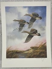 Allen Hughes NGP National Gard Products (Speckle Belly Geese) Print 121/1000