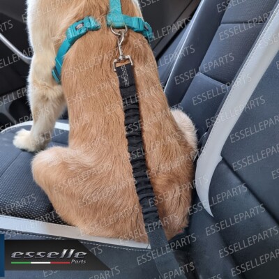 Cintura Di Sicurezza Per Cani In Auto - 2 Pezzi Con Ammortizzatore Elastico E Sacca Portaoggetti (Nero) - Foto 9