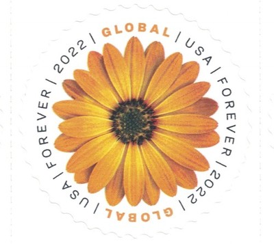 United States Postal Service Usps Global International Mail Forever Postage