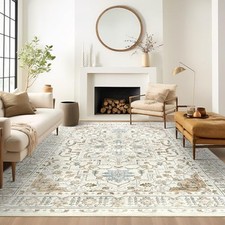 5x7 Area Rug for Living Rooms, Stain Resistant 5' x 7' Rectangular Beige