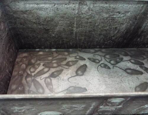 NOSFERATU METAL POPCORN BUCKET SARCOPHAGUS + ANNE RICE SIGNATURE CARD VAMPIRE - Picture 11 of 20