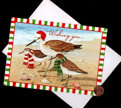 Sea Birds Sandpiper Scarves Shells Ocean Sea  EMBOSSED - Christmas Greeting Card