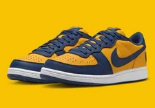Nike Terminator Low OG 'Michigan' Gold Navy White FJ4206-700 Men's Sizes New