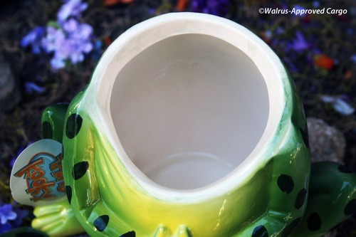 THAT’S KOOKY FROG COOKIE JAR -NWT- OTHER KITCHENWARE WILL TURN GREEN WITH ENVY! - Imagen 8 de 11