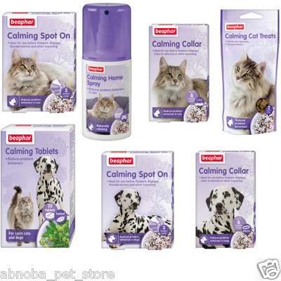 calming solutions for cats