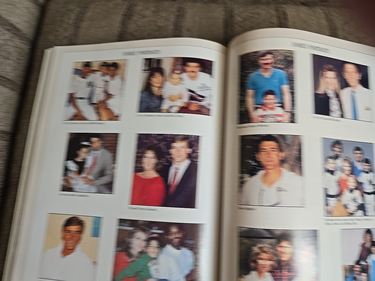 Picture 12 of 12