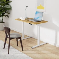 FLEXISPOT Standing Desk Quick Assembly Electric Sit Stand Desk 40" x 24" Brown
