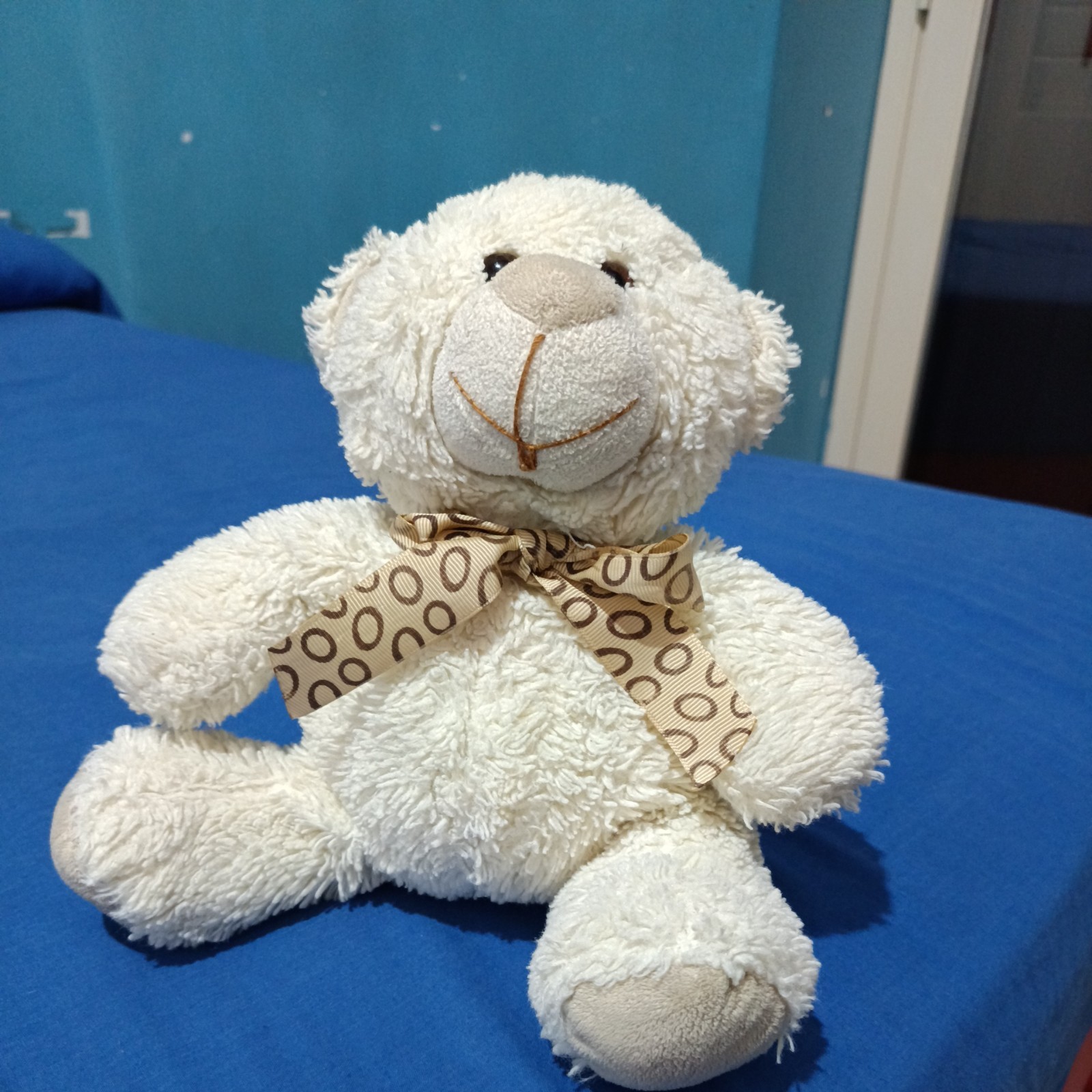 Peluche Bianco Orso