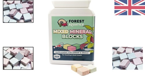 Long-Lasting Mixed Calcium Blocks for Shrimp, Snails, & Aquatic Pets - 50 Count - Picture 2 of 11