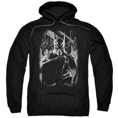 BATMAN DETECTIVE 821 COVER Licensed Adult Hooded Sweatshirt Hoodie SM-5XL