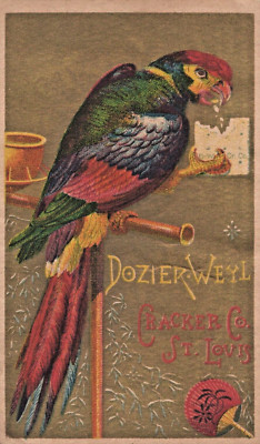 Parrot Dozier Weyl Polly Want a Cracker Co St. Louis Mo ANTIQUE TRADE CARD A3E