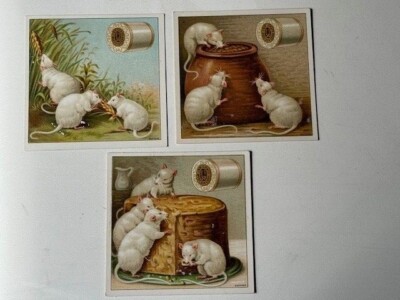 Sammelbilder Werbung J & P Coats Best Six Cord Thread USA Garn 1900 Weiße Mäuse