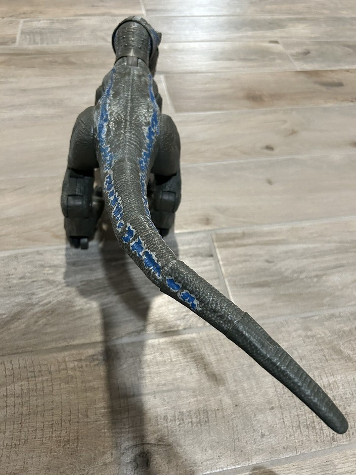 Jurassic World Alpha Training Blue Velociraptor Dinosaur - Dinosaur ...