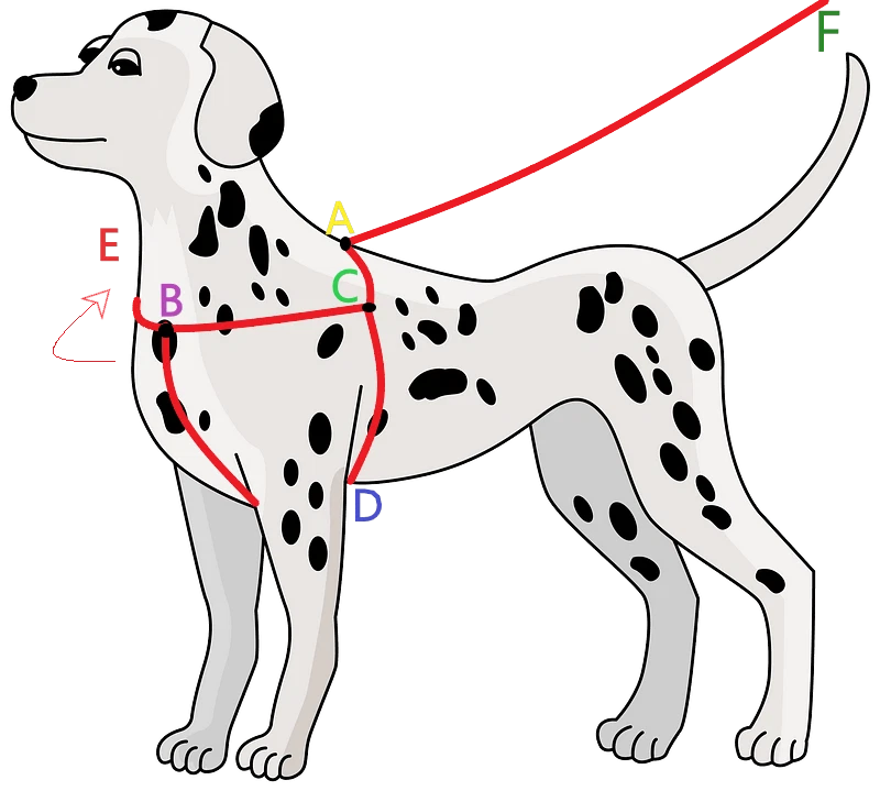 Dog Harness Pet New Nylon Durable Reflective Adventure Outdoor Safety Adjustable