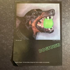 1979 DOGTOWN Skateboard  Print Ad • Original • El Segundo1970s ADV10