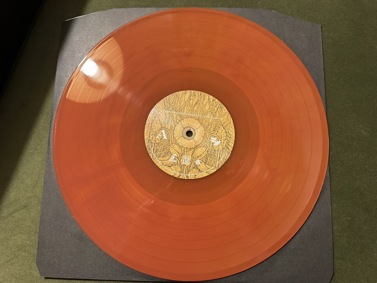 Further Seems Forever - Hide Nothing Vinyl LP (20th Anv Reissue