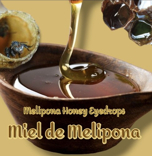 Full Strength Melipona Honey Eye Drops ~Melipona beecheii 30ml. Wild Harvest!! - Picture 2 of 3