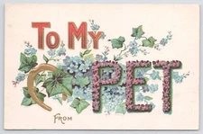 Greetings~Blue Flowers & Purple Flower Letters To My Pet~Vintage Postcard
