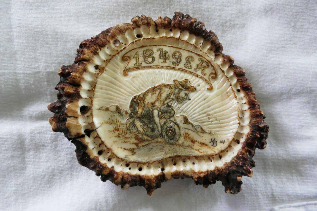VTG 1989 hand carved ELK Antler Burr Rosette Belt Buckle w/Gold