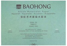 BAOHONG Artists' Grade Watercolor Painting Paper,100 Cotton Cold Press,20 Sheet