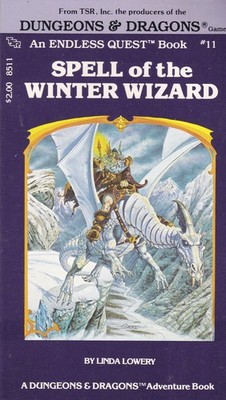 Spell of the Winter Wizard (Endless Quest, Book 11 / A Dungeons & Dragons Ad...