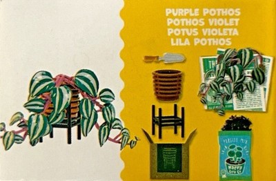 NEW MGA miniverse lifestyle HANGING PURPLE POTHOS plant HARD TO FIND | eBay