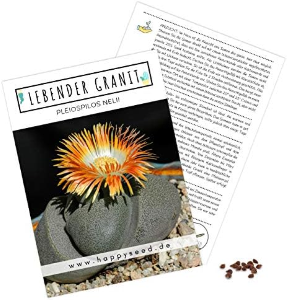 Semi di cactus esotici ad alto tasso di germi â€" Set di semi di piante grasse p