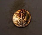 1946 DDR Walking Liberty Half Dollar * Almost Uncirculated AU Toned * XH367