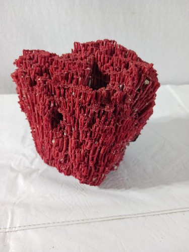 Natural Authentic Red Coral Large Approx: 6"X6"X6" Pipe Organ Coral 322g - Picture 14 of 14
