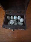 Dug In New Market Virginia , Civil War Relics , Bullets, Cleaner , Mini Balls