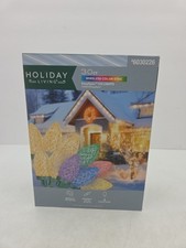 Holiday Living 30 Ct Color Changing LED C9 Multicolor String Lights 15.8 Ft
