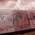 OKALAN 3 COLOR PRO BLUSH PALETTE  — photo 1