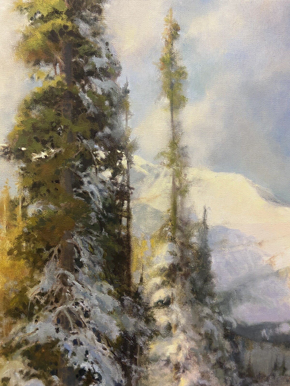 Picture 13 of 22